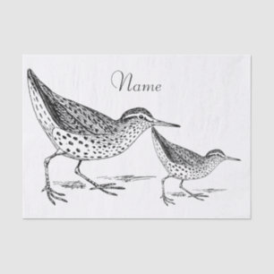 Papel De Seda Sandpiper Shorebird Thunder_Cove