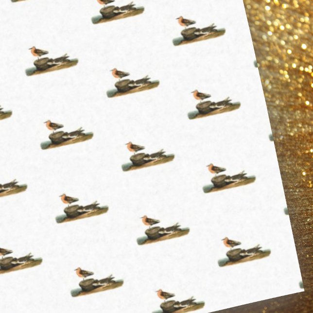 Papel De Seda Sandppers no Desenho de Praia - Ilustração de Vint (Criador carregado)