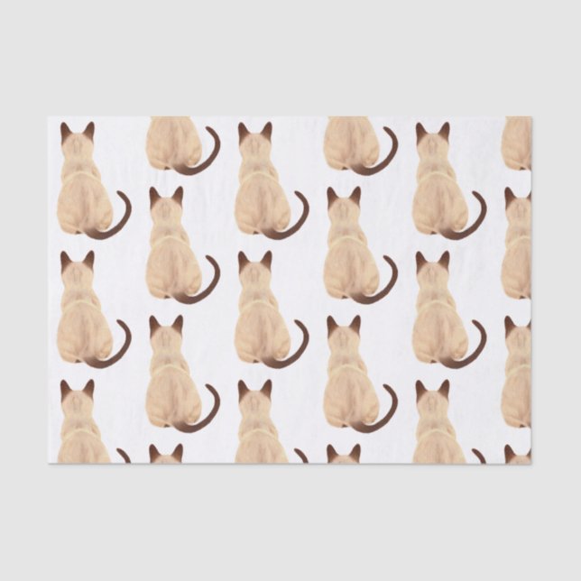 Papel De Seda Sasha Siamese Cat Lover Gatinho Olhando Para Fora  (Frente )