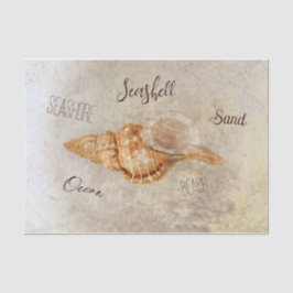 Papel De Seda Sea Shell Vintage Antique Ocean Beach Ephemera
