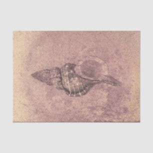 Papel De Seda Sea Shell Vintage Ocean Beach Grunge Textura