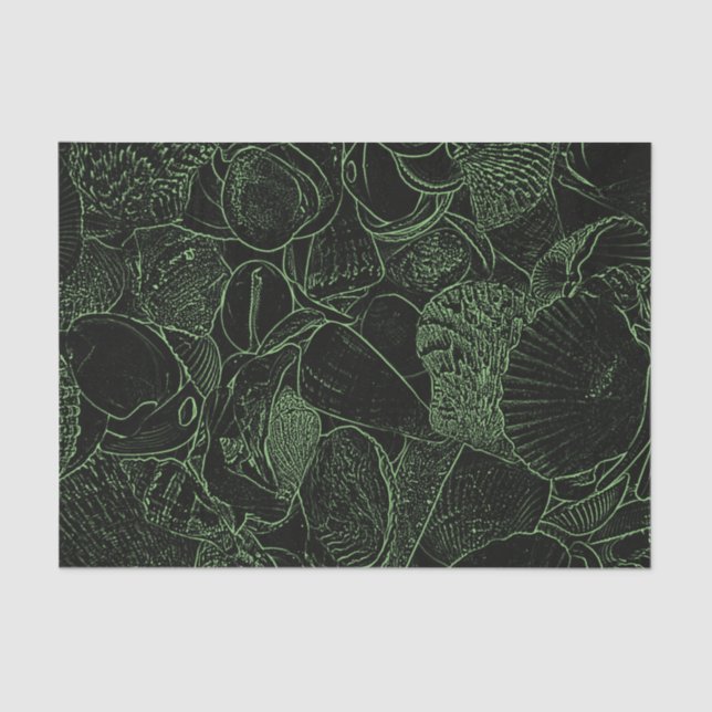 Papel De Seda Sea Shells Ocean Beach Green Sketch (Frente )