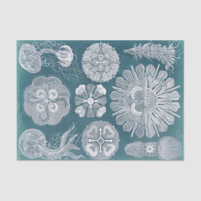 Papel De Seda Sealife Blueprint IV (Frente )