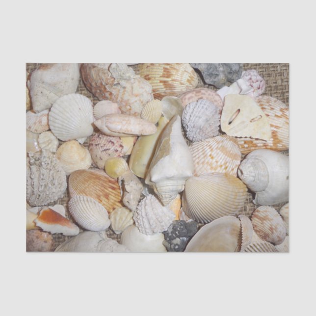 Papel De Seda Seashell (Frente )