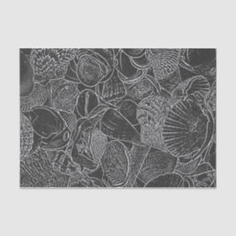 Papel De Seda Seashell Ocean Beach Black And White Sketart