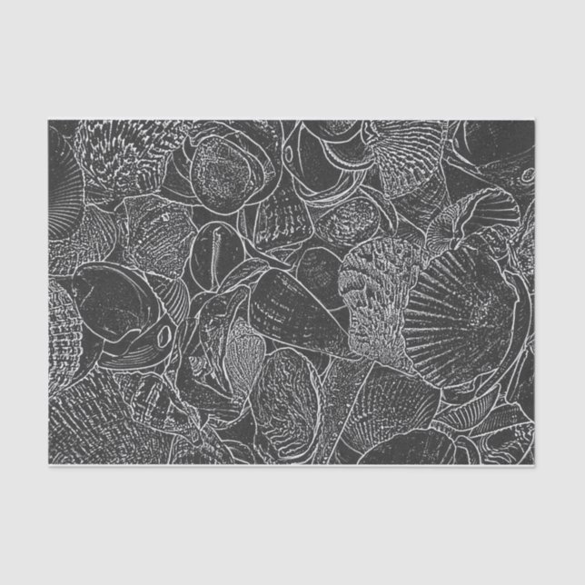 Papel De Seda Seashell Ocean Beach Black And White Sketart (Frente )