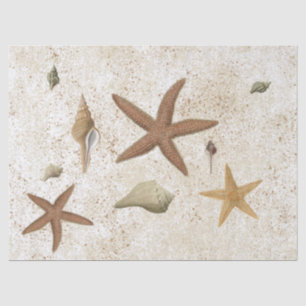 Papel De Seda Seashell Sandy Beach Starfish Decoupage