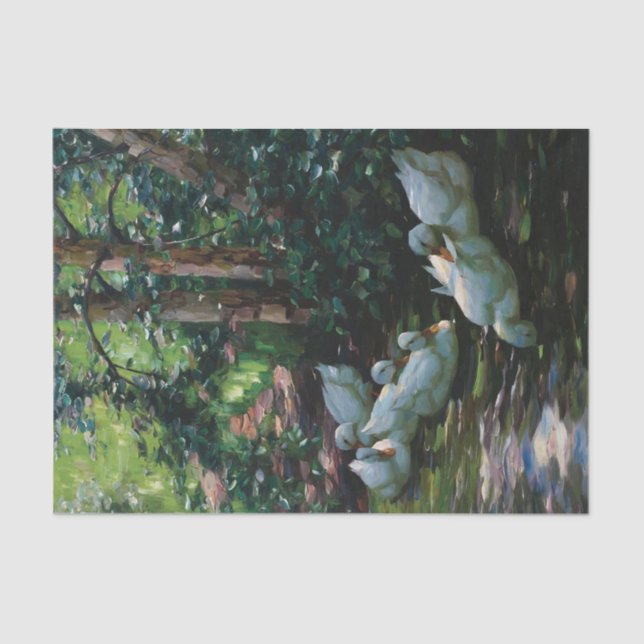 Papel De Seda Sechs Enten em Wasser por Alexander Koester (Frente )