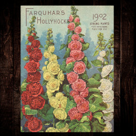 Papel De Seda Seed Packet Red Orange 1902 Hollyhocks Vintage