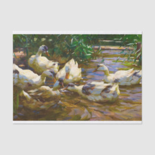 Papel De Seda Seis patos em água azul-vermelha por Alexander Koe