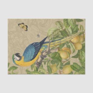 Papel De Seda Selva Tropical Amarela Macaw Antiguidade