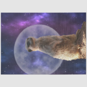 Papel De Seda Sentinela Cósmica: Meerkat embaixo da lua cheia