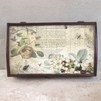 Separação Antiquada de Ephemera Botânica da Abelha