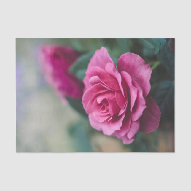 Papel De Seda Separação bonito de Rosas Rosa (Frente )