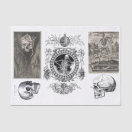 Papel De Seda Separação da coleção de Halloween