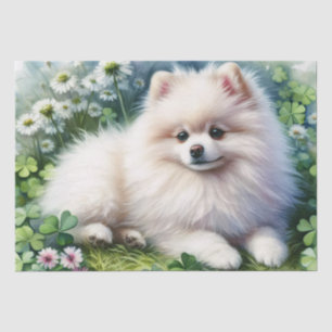 Papel De Seda Separação de Cachorros Aquosos Brancos Pomeraniano