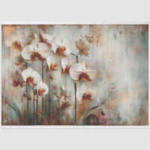 Separação de Fauna e Flora Orquídeas