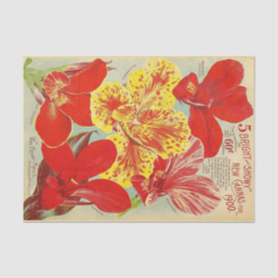 Papel De Seda Separação de Sementes Florais de Vintage Vermelhas