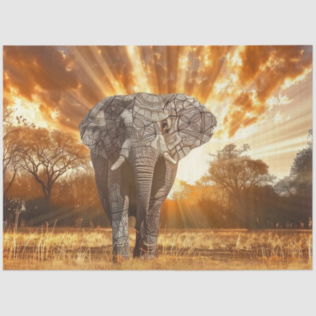 Papel De Seda Separação de Sunset de Elefante Captivante (Frente )