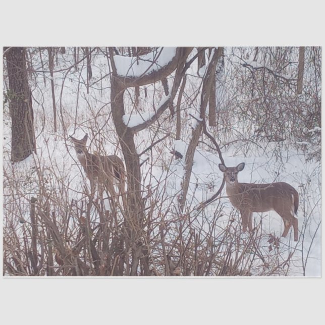 Papel De Seda Sépia Winter Season Snow and Deer Photo (Frente )