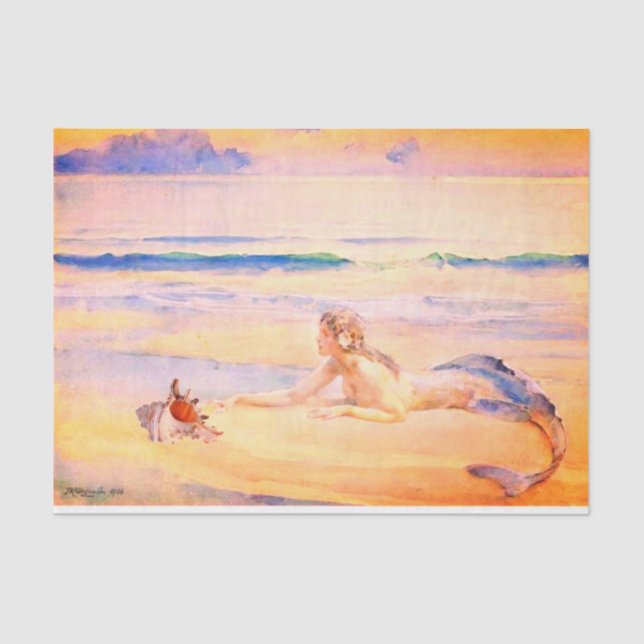 Papel De Seda Sereia e Shell (Frente )