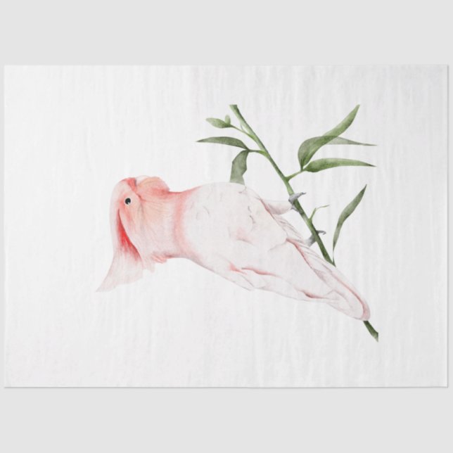 Papel De Seda Série "Aves Tropicais": Grandes Mitchell (Frente )