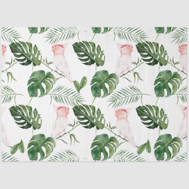 Papel De Seda Série "Aves Tropicais": Grandes Mitchell Design 4 (Frente )