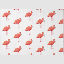 Papel De Seda Série "Aves Tropicais" : Scarlet Ibis Design 2