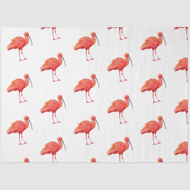 Papel De Seda Série "Aves Tropicais" : Scarlet Ibis Design 2 (Frente )