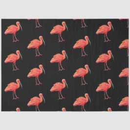 Papel De Seda Série "Aves Tropicais" : Scarlet Ibis Design 3
