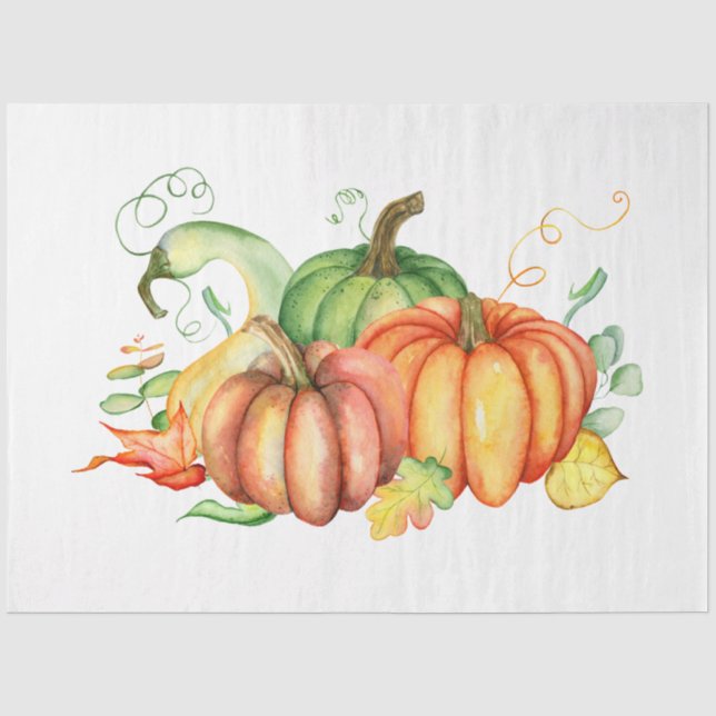 Papel De Seda Série de Abóbora de Ação de Graças Design 6 (Frente )