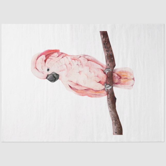 Papel De Seda Série de aves tropicais: Cockatoo (Frente )