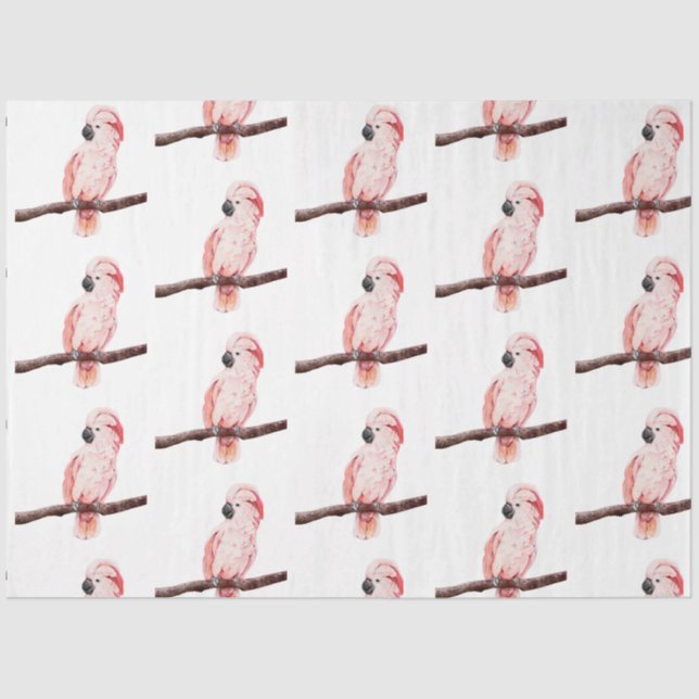 Papel De Seda Série de aves tropicais: Design de Cockatoo 2 (Frente )