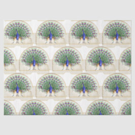 Papel De Seda Série de Design Pavão 8
