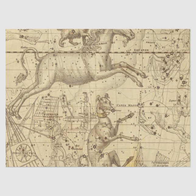 Papel De Seda Série de Mapas da Galáxia Antiga Design 2 (Frente )