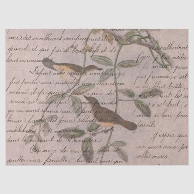 Papel De Seda Série de Pássaros Efêmeros Design Cinco (Frente )