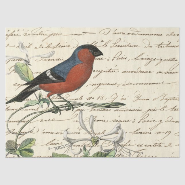 Papel De Seda Série de Pássaros Efêmeros Design Um (Frente )