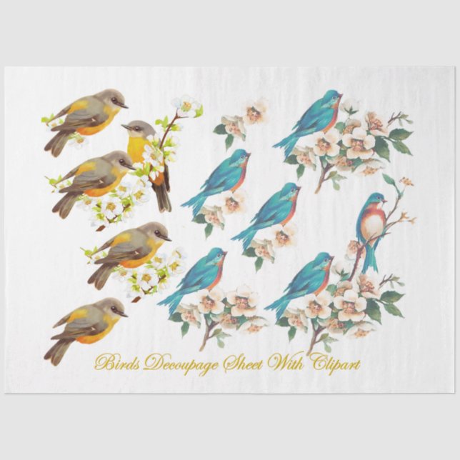 Papel De Seda Série de Pássaros Selvagens Design 8 (Frente )