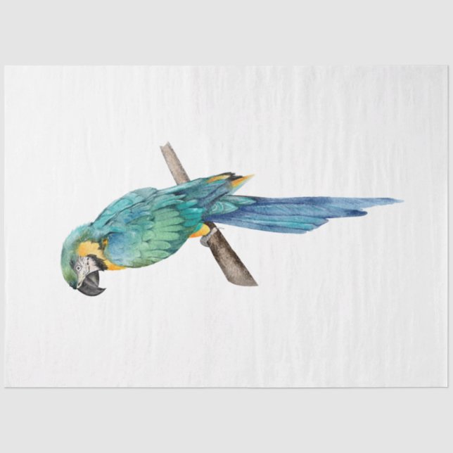 Papel De Seda Série de Pássaros Tropicais: Arara Azul (Frente )