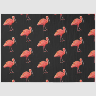 Papel De Seda Série de pássaros tropicais : Scarlet Ibis Desig