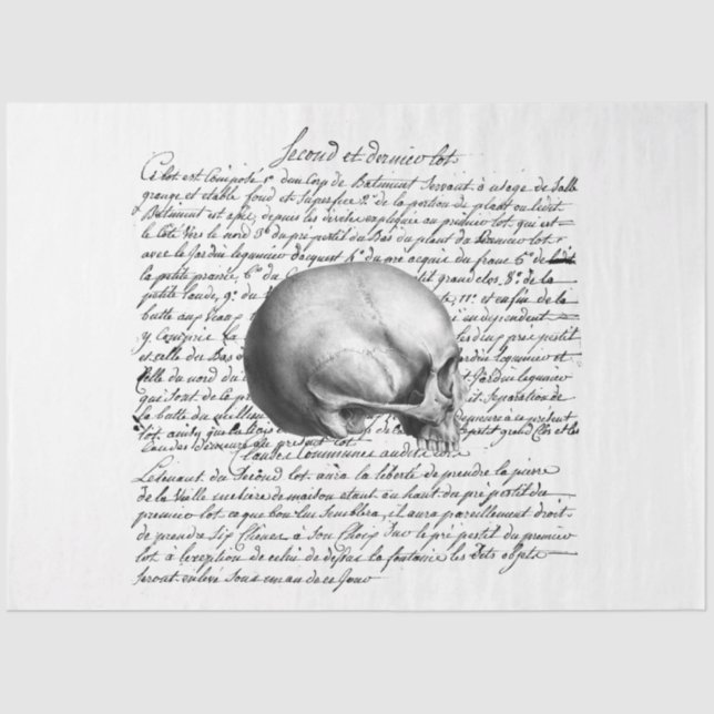 Papel De Seda Série Debutante Gótica Design 5 (Frente )