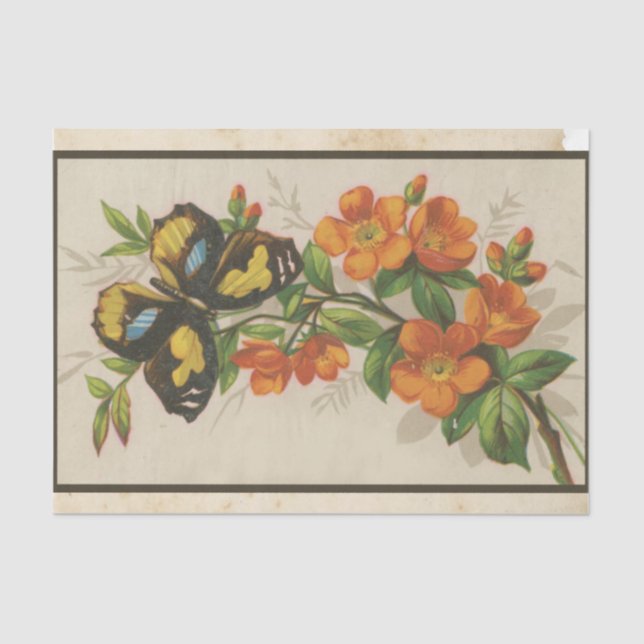 Papel De Seda Série Design de Ephemera de Sucata #28 (Frente )