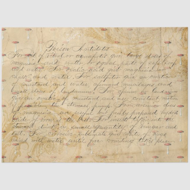 Papel De Seda Série Design de Ephemera Mushroom #4 (Frente )