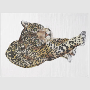 Papel De Seda Série Gatos Selvagens Design 3