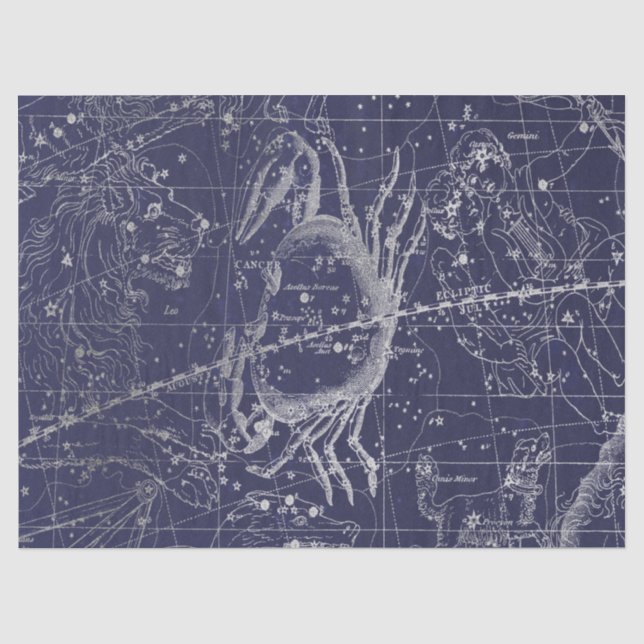 Papel De Seda Série Mapa Estelar da Galáxia de Prata Design 10 (Frente )