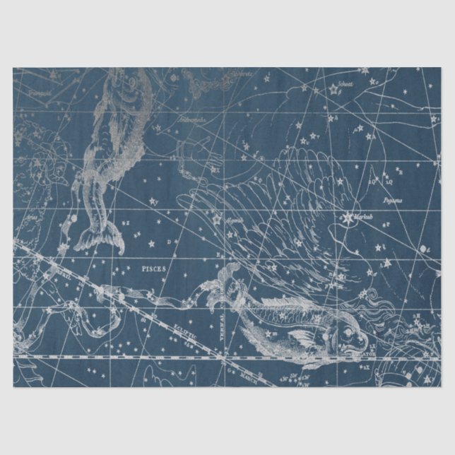 Papel De Seda Série Mapa Estelar da Galáxia de Prata Design 12 (Frente )