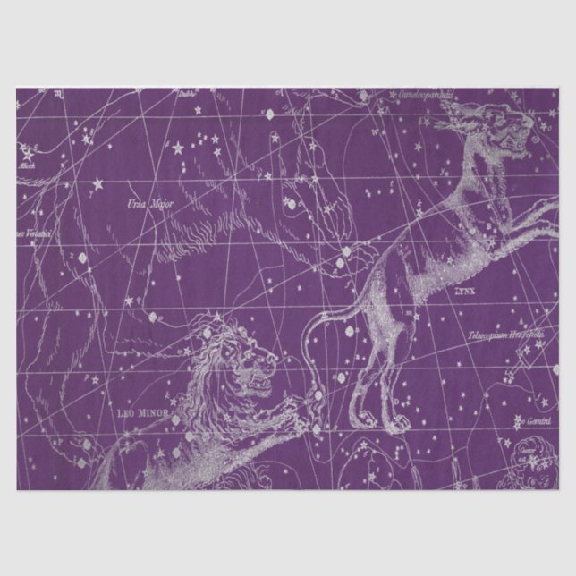 Papel De Seda Série Mapa Estelar da Galáxia de Prata Design 3 (Frente )