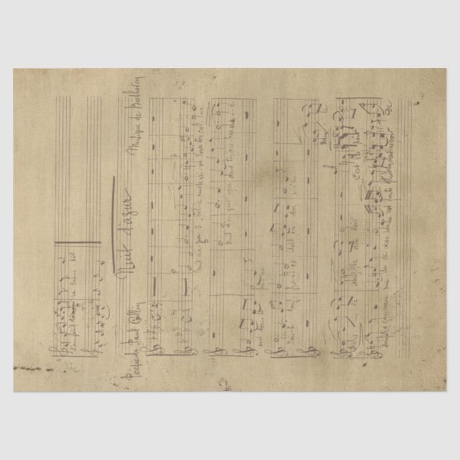 Papel De Seda Série Música e Rosas Design 11 (Frente )