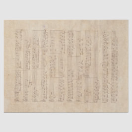 Papel De Seda Série Música e Rosas Design 9