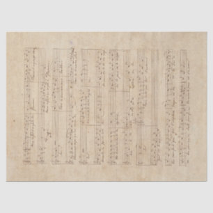 Papel De Seda Série Música e Rosas Design 9